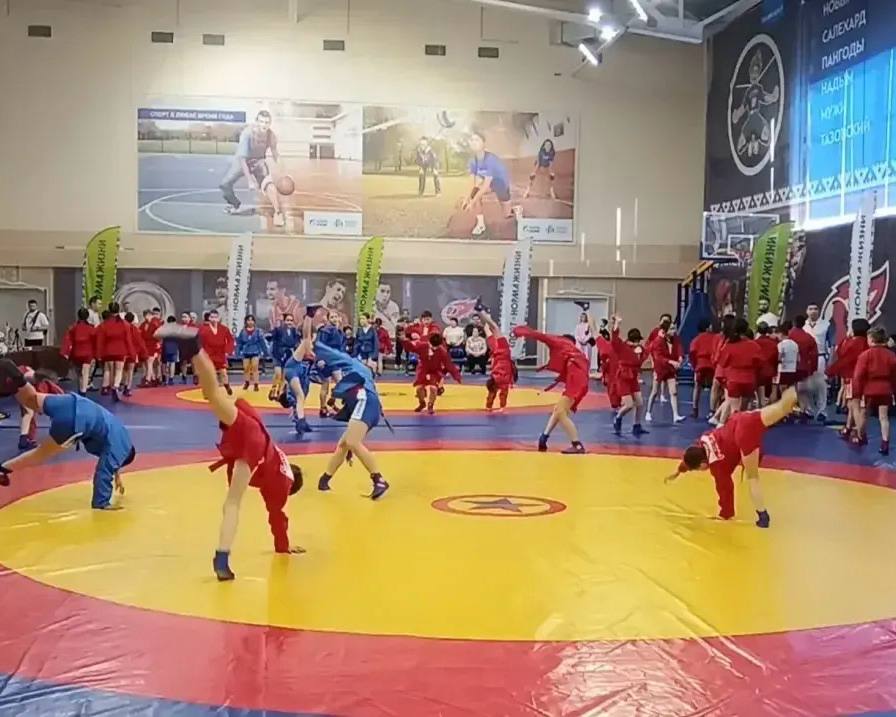 В Губкинском завершился региональный этап всероссийских соревнований по самбо В Губкинском завершился региональный этап всероссийских соревнований по самбо