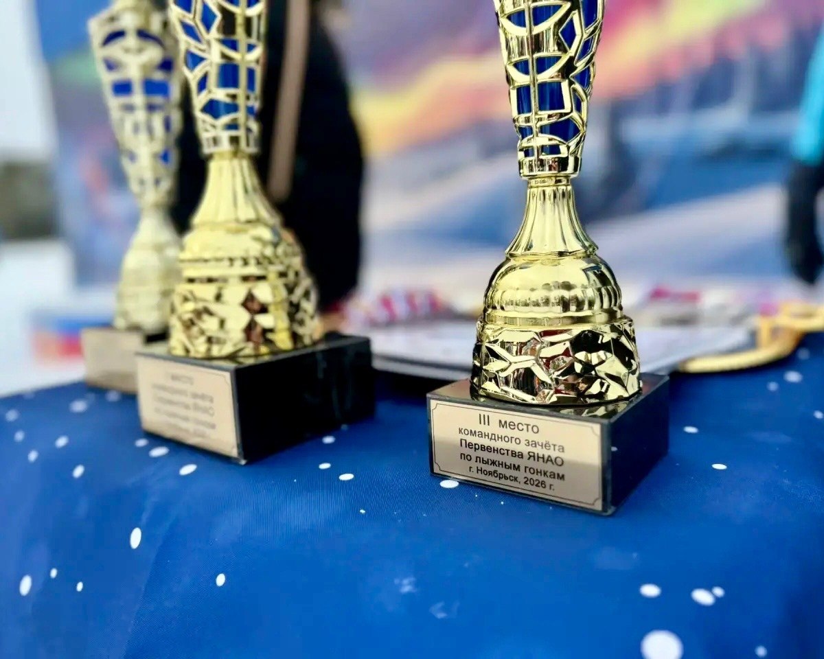 В Ноябрьске подвели итоги окружного первенства по лыжным гонкам В Ноябрьске подвели итоги окружного первенства по лыжным гонкам