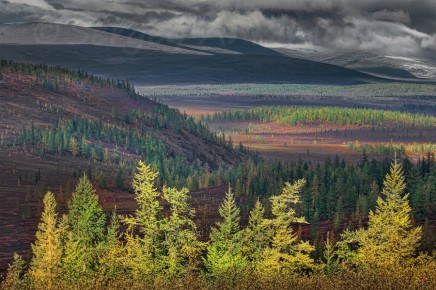 ��� ���� ������ ������� �� ����� ������ 105.7 FM �� 18 �����