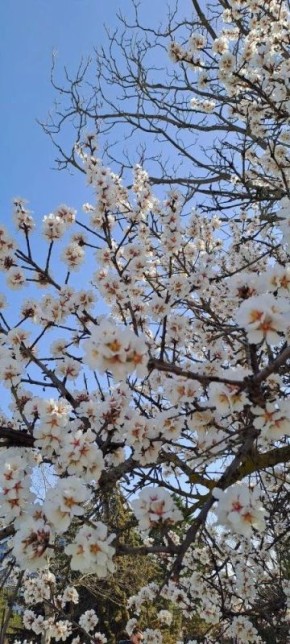 ������� 12 ��� �������� �����