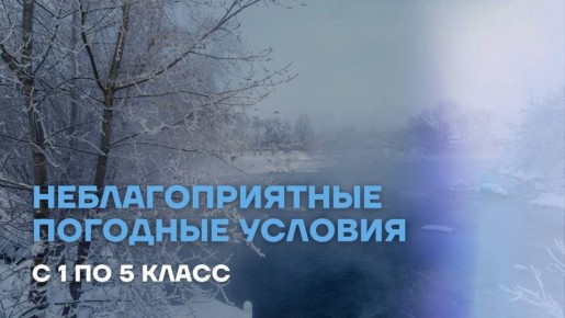 ������ � ����� ������� -29��, ����� ������-�������� 7-10 �/�