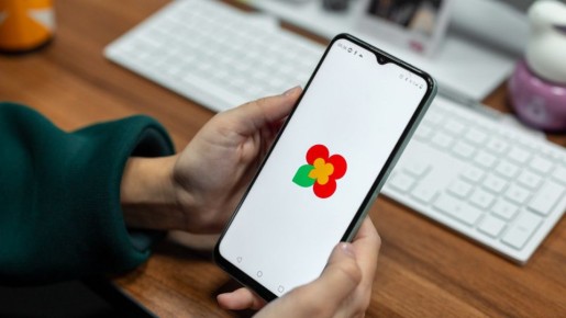 �������� �� ����: ������ ������ �� �������� �� �������� ��������