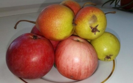 ���������� ���� �� ������� � ��������: ������ �� �����