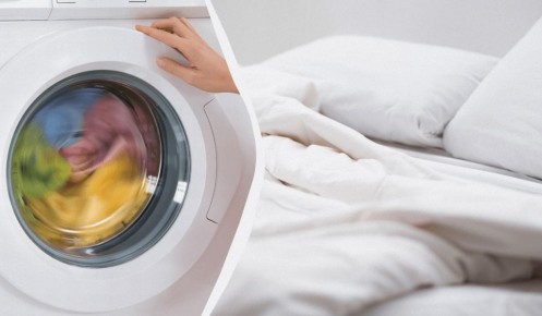 ��� �� ����� ������ � ���������� ������: ������ ���������