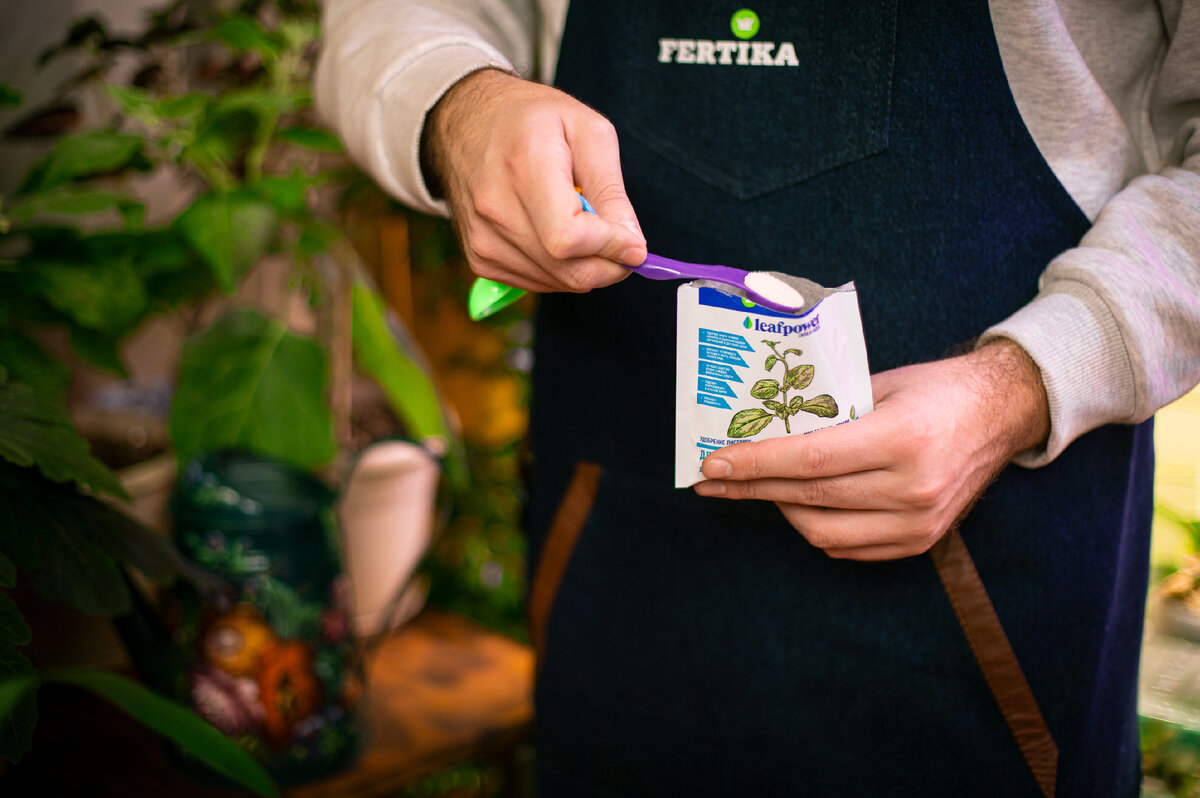 Как правильно использовать Фертика Leaf Power для рассады
