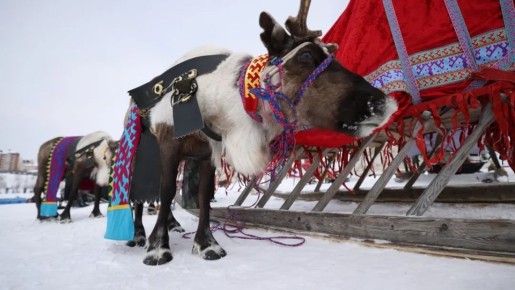 � ���������� ������ ������ � ������� ������ ���� ���������