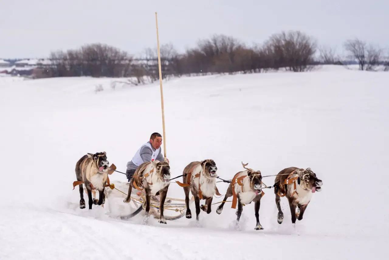 Первый день праздника в объективе - динамично, ярко, зрелищно Первый день праздника в объективе - динамично, ярко, зрелищно