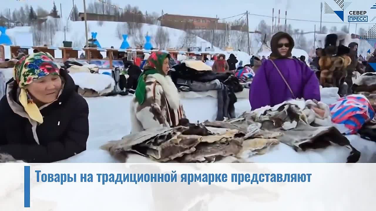В Салехарде стартовал День оленевода — праздник проходит на берегу Полябты