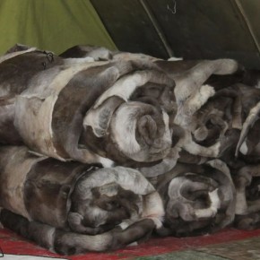 Заключенные шьют чумовые комплекты для оленеводов Ямала