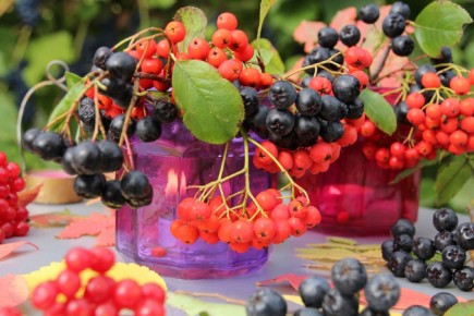 ����� �����: ������� � ���� ������� ����������� � ����� ����