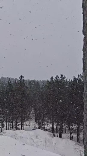 ����� ������... ����, ����������:(