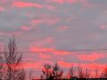 Поймали сегодня красивое в небе над Ноябрьском