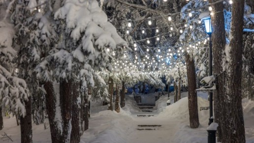 ������ ����, ������� ��������