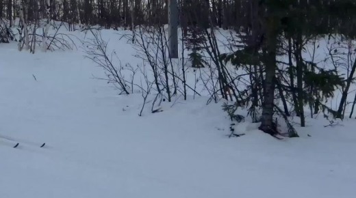 ����� �� ���� �������� ���� ������������ V ������������� ����������� ���