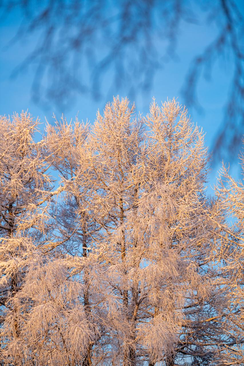 Пусть всё задуманное исполняется легко, а поводов для улыбок будет как можно больше