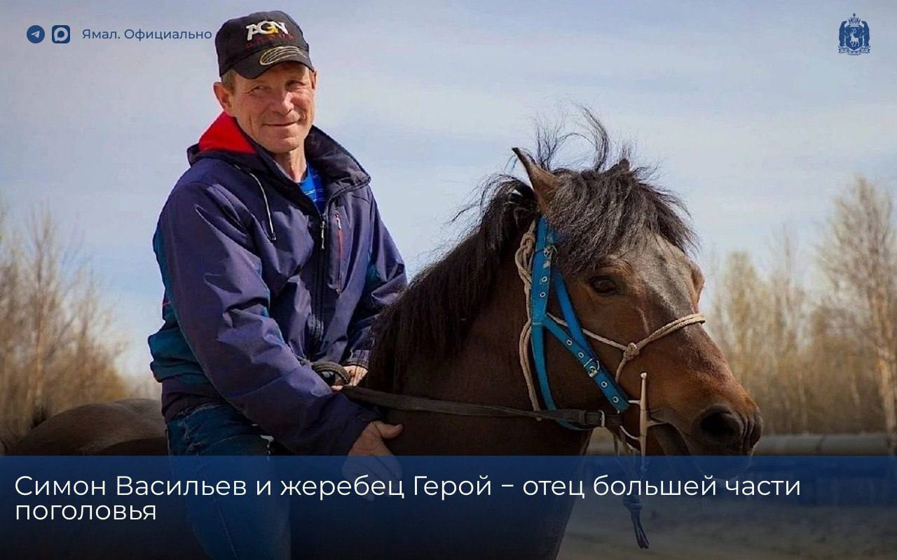 Ферма, о которой знает каждый салехардец, родилась из детской мечты Ферма, о которой знает каждый салехардец, родилась из детской мечты