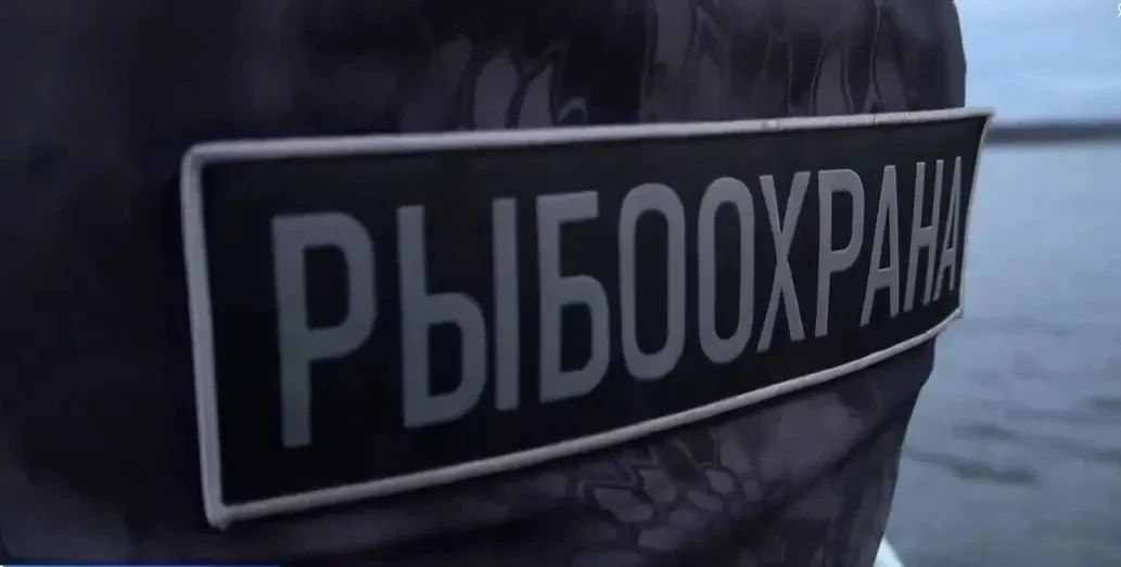 Ямальцы могут получить вознаграждение за информацию о браконьерах