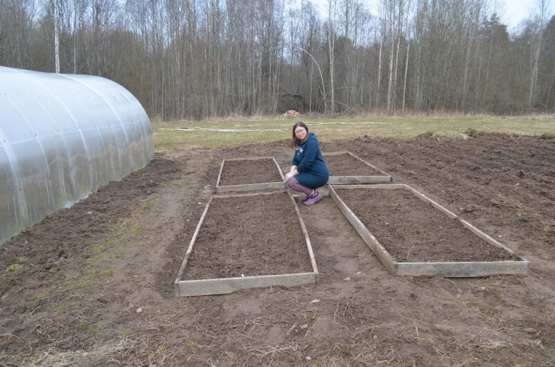 Способы увеличения плодородия почвы на огороде