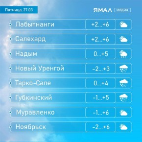 Довела нас всех весна до умопомрачения!