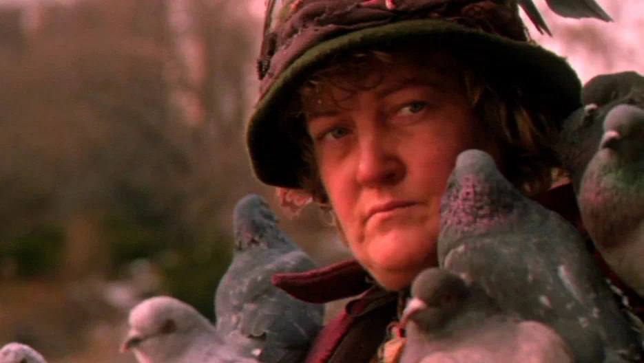 Кормление голубей карается штрафами