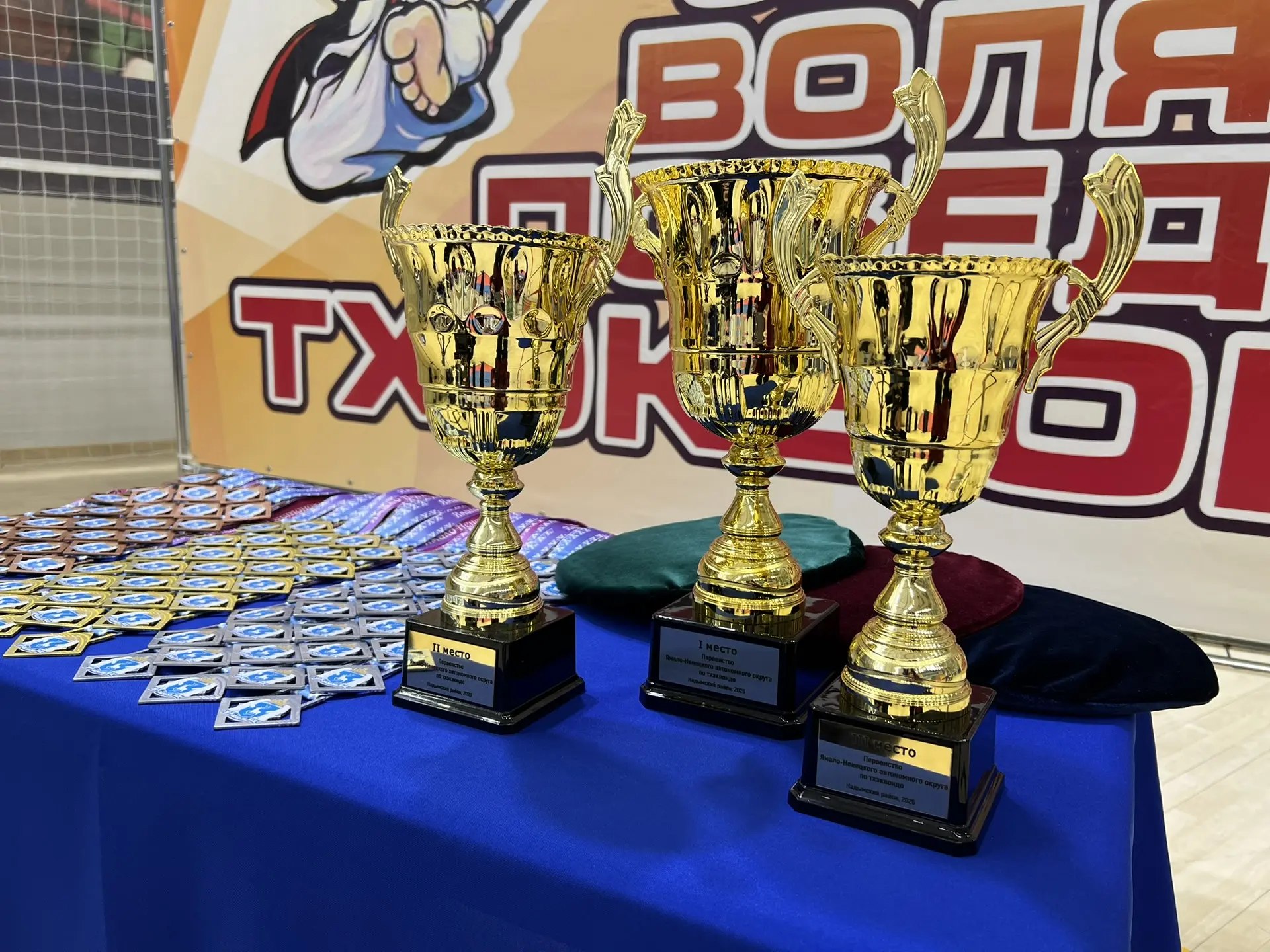 В Надыме проходит Первенство ЯНАО по тхэквондо В Надыме проходит Первенство ЯНАО по тхэквондо