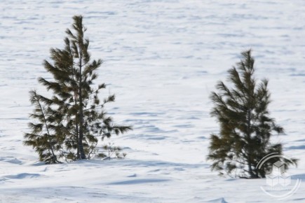 ���� ���������� ��������� � ���� � ��������, ����� �� �������� ���� ����� �����!