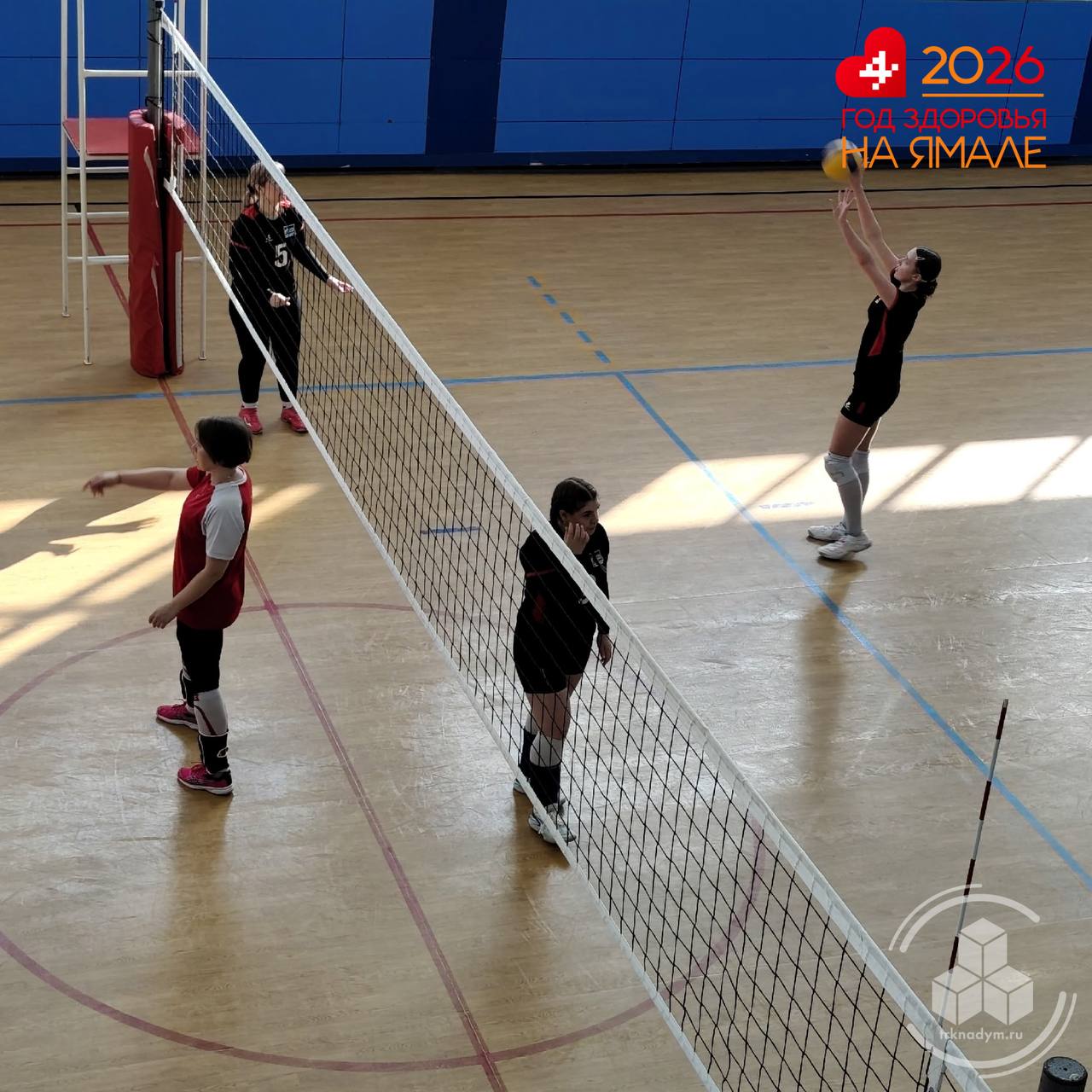 В Пангодах прошли открытые соревнования по волейболу В Пангодах прошли открытые соревнования по волейболу