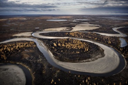 Водитель, сбивший пешехода на трассе Сургут — Салехард и скрывшийся с места ДТП, позже вернулся обратно и дал показания