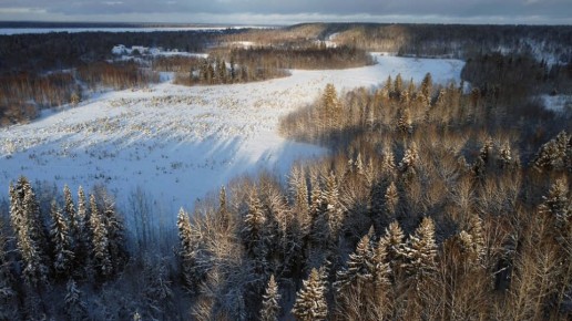 ��������������� ��������� ����� ��������� ����������� ������