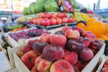 ������� ������������: ��������� � ��������� �������