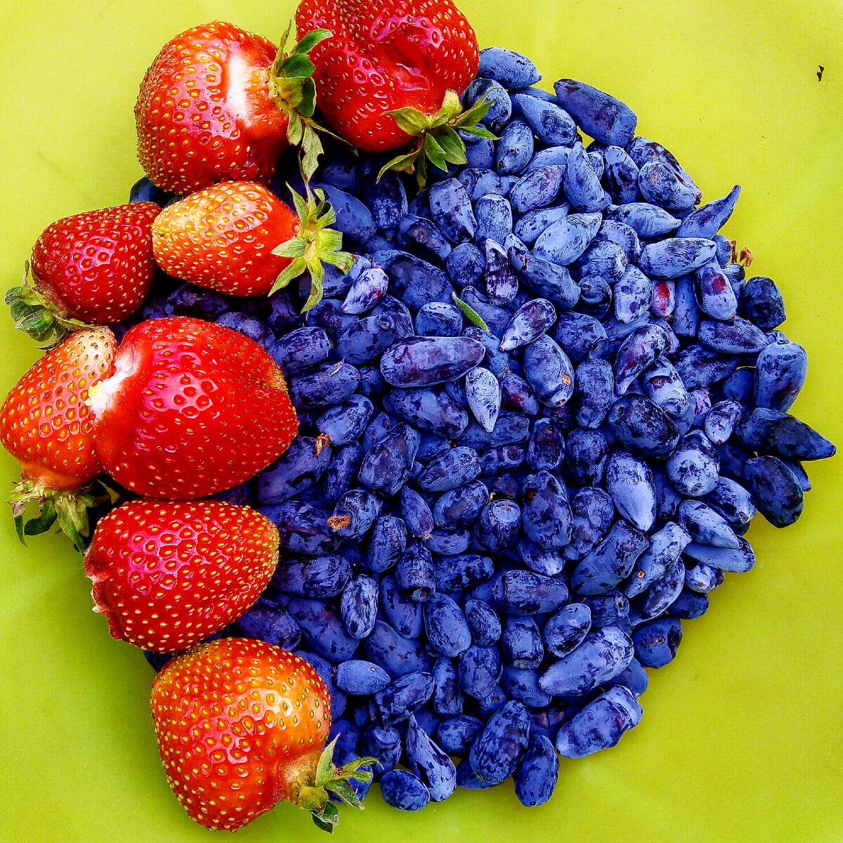 Как вырастить экологически чистые овощи и фрукты на даче: советы специалистов