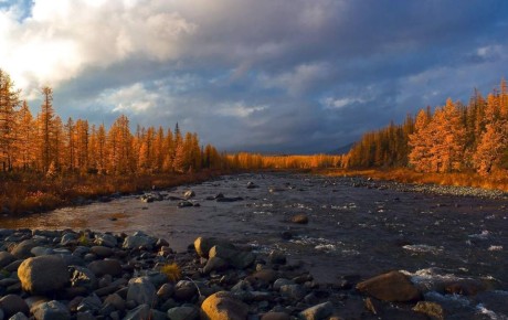 Ямальские шахматистки Галина Михеева и Мария Алексеенко успешно выступили на чемпионате Урала в Челябинске
