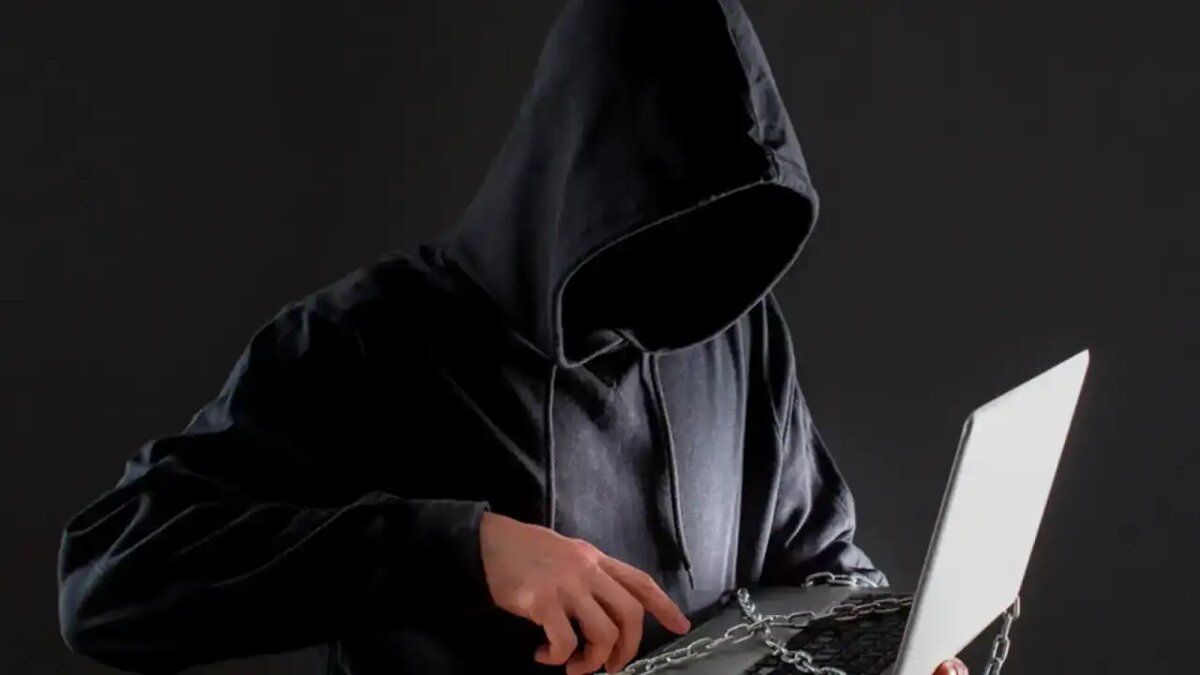 Как легально искать экстремистские материалы: мнение адвоката о новых поправках