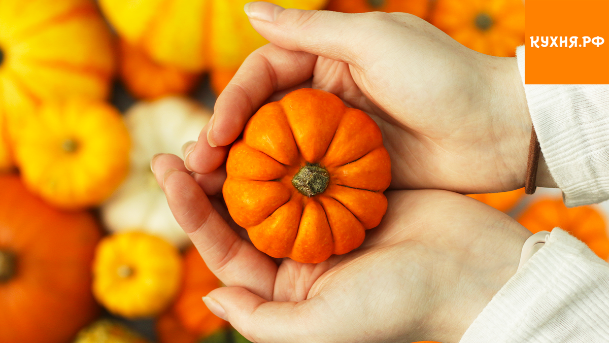 Как выбрать свою идеальную тыкву: яркие сорта для кулинарных экспериментов