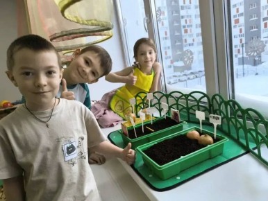 «Огород на подоконнике». На Севере и Юге страны стартовал эко-проект для дошколят