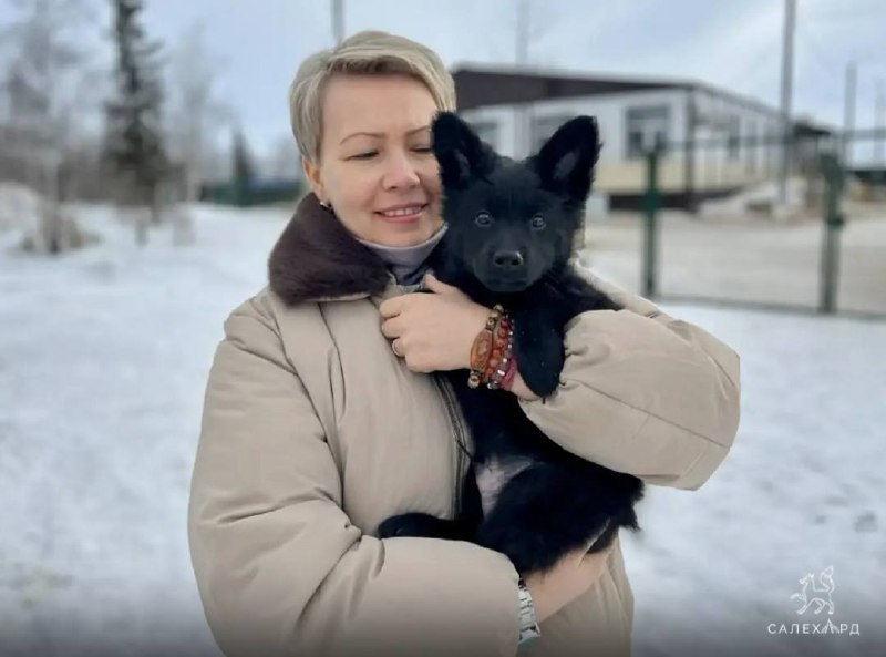 Хеппи-энд для подкидыша: как фото в соцсетях помогло песику найти дом