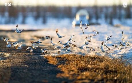 ������� � ����������� ������� � ��� �� �����