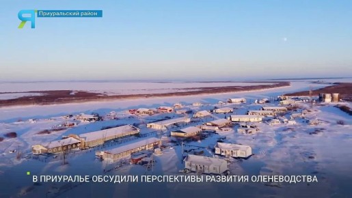 � ��������� �������� ����������� �������� ������������