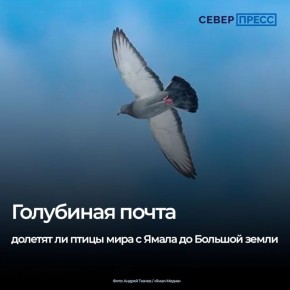 � ����������� ���������� ������������ � ���� ��� ���� ����� � ����������� ��������� �����