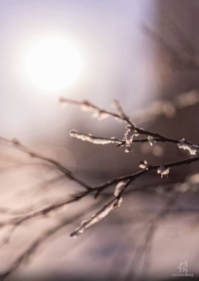 Хорошей недели, салехардцы