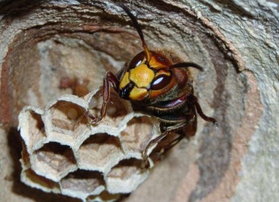 ��� ��������� ���������� �� ����� �� � ������� �� ����