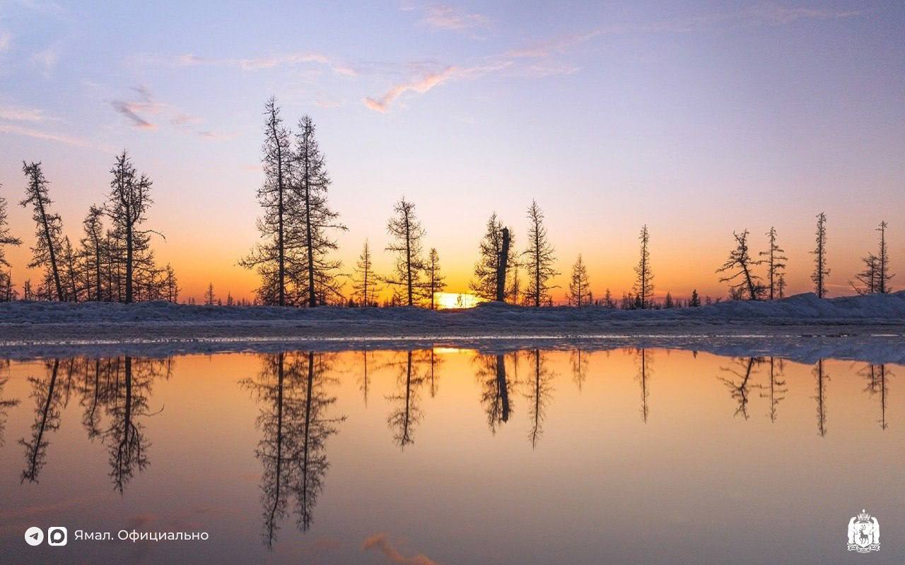Надымские пейзажи в конце марта от Антона Дроздова
