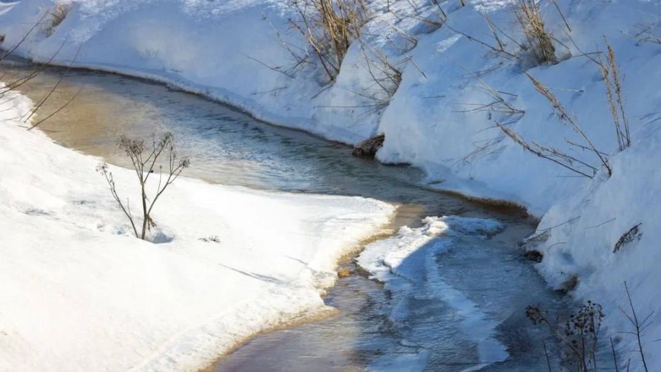 ����� �� ����� ����� ���� ������ ��������