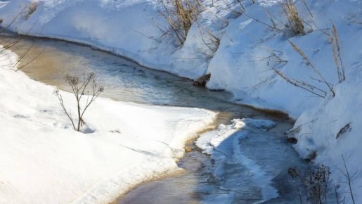 Весна на Ямале может быть теплее обычного