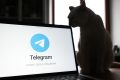Депутат Свинцов: Telegram приравнен к запрещённым соцсетям в России
