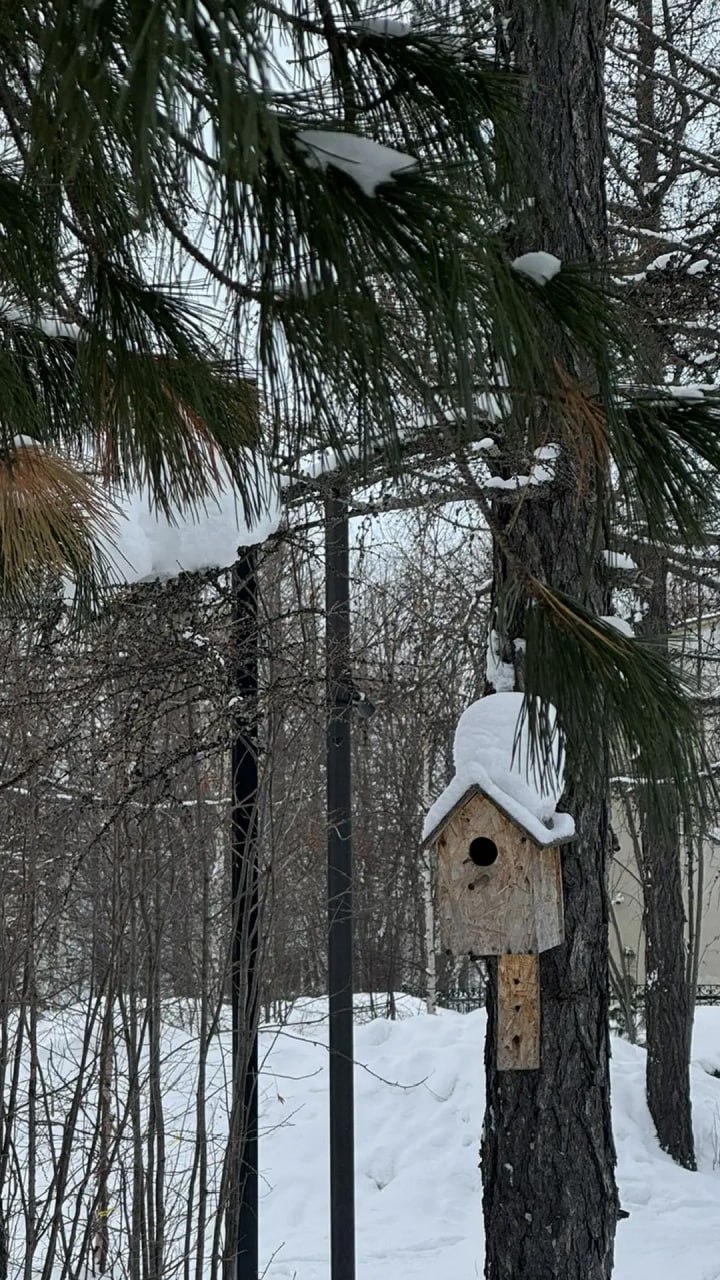 А ваше устройство уже готово встретить весну? А ваше устройство уже готово встретить весну?
