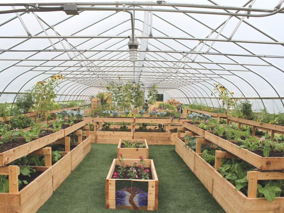 ��� ������ ������: ������������� �������� �� ����� �������