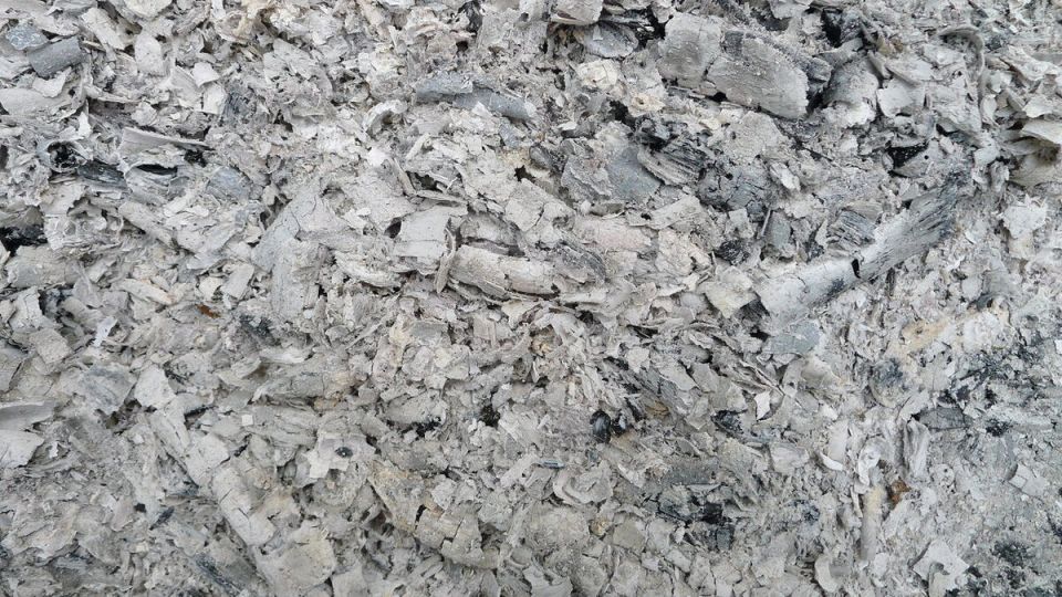 ��� ��� � ���� ����� ����������� ��� �������