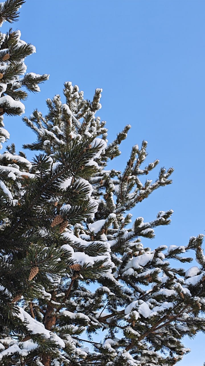 А ваше устройство уже готово встретить весну? А ваше устройство уже готово встретить весну?