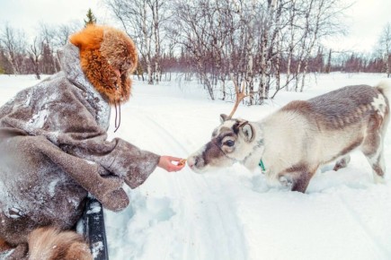 �������� �� ����, �����, ������ ��-�������